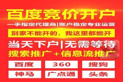 SEM竞价实战：成功案例解析
